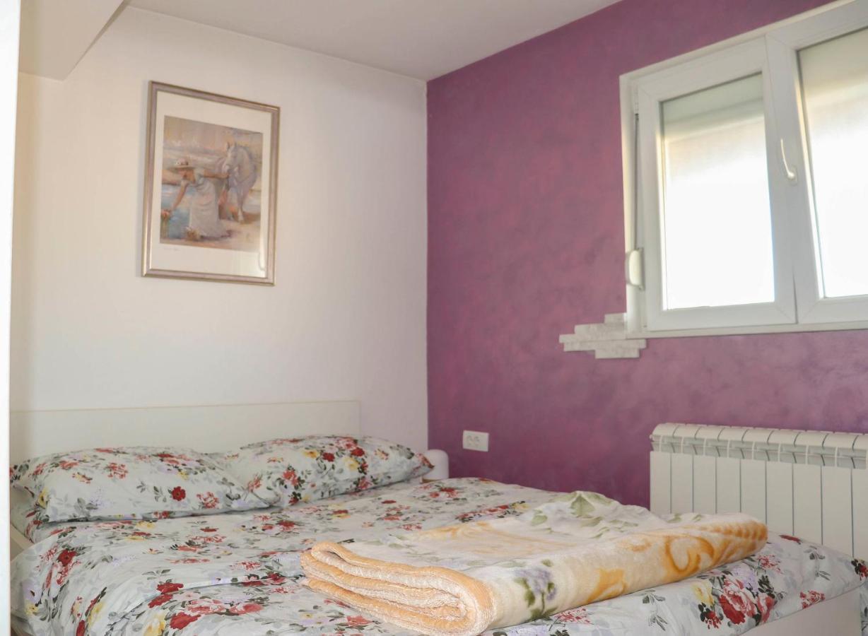 Apartament Juventas37 Belgrad Zewnętrze zdjęcie